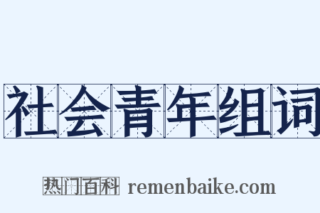 社会青年组词是什么意思的图片
